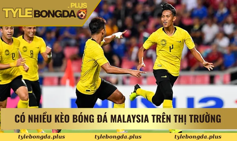 Có nhiều kèo bóng đá Malaysia trên thị trường