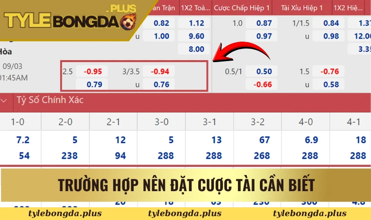 Trường hợp nên đặt cược tài cần biết